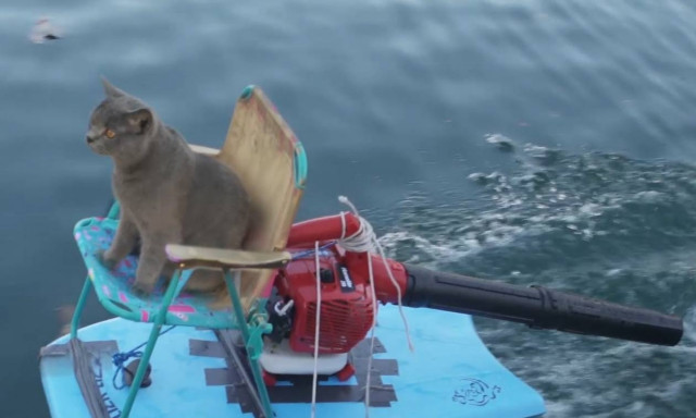 Η γάτα του αγαπάει το νερό και εκείνος της έφτιαξε ένα διαφορετικό τζετ σκι (vid)
