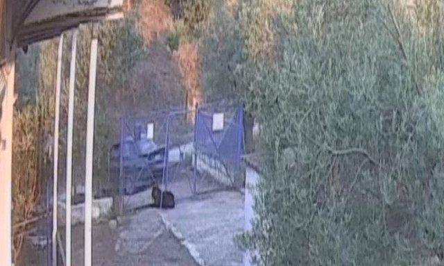 Βίντεο: Θρασύτατοι διαρρήκτες εισβάλλουν σε εξοχικό στην Κόρινθο – Δείτε τι έκαναν στο σκύλο!