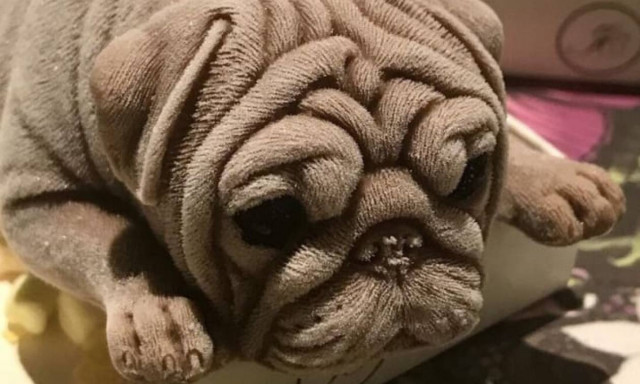 Εξωπραγματικό: Στην Ταϊβάν τρώνε σκύλους από παγωτό που μοιάζουν σα να είναι ζωντανοί (Vid)