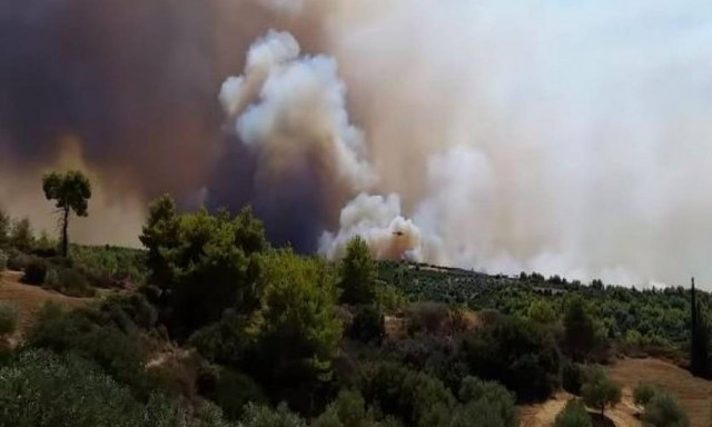 Σε ύφεση η φωτιά στη Δαφνιώτισσα Αμαλιάδας