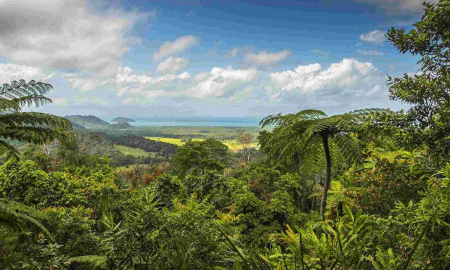 Πέθανε ο «Ταρζάν»