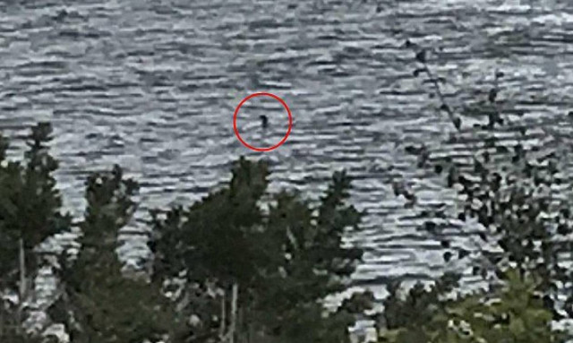 Μαθήτρια έβγαλε κατά λάθος την καλύτερη φωτογραφία του Τέρατος του Λοχ Νες