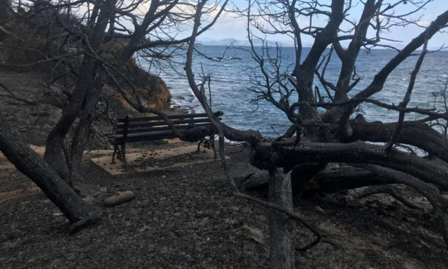 Αποκάλυψη - σοκ από επιστήμονα: Υγειονομική «βόμβα» το Μάτι - Πότε πρέπει να επιστρέψουν οι κάτοικοι