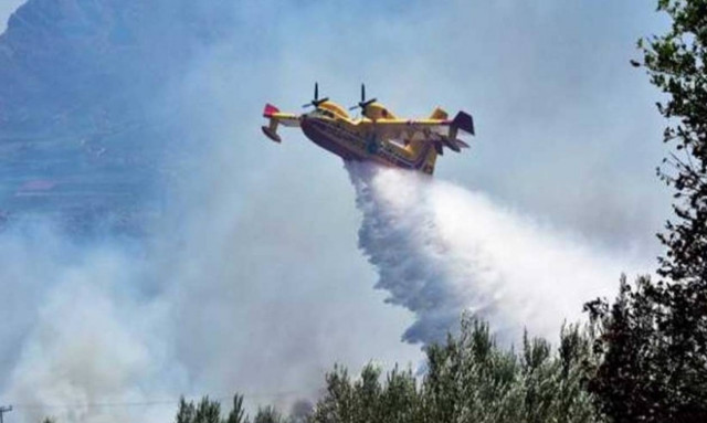 Υπό μερικό έλεγχο η φωτιά στην Εύβοια