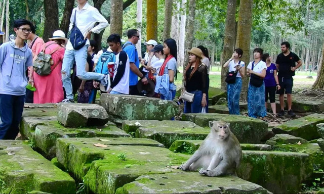 Πεινασμένη μαϊμού περιμένει υπομονετικά μέχρι να της δώσουν φαγητό (vid)