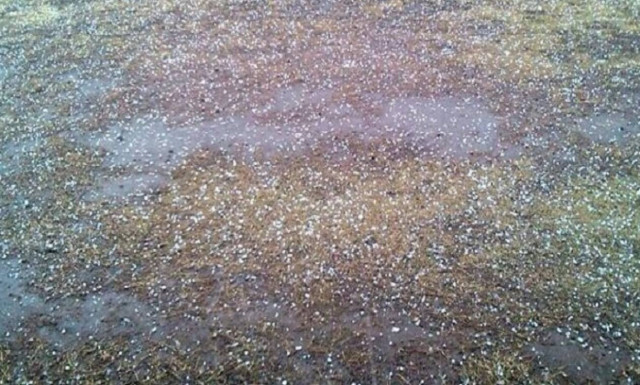 Καιρός ΤΩΡΑ: Η κακοκαιρία πλήττει την Αττική – Χαλάζι στον Γέρακα (vid)