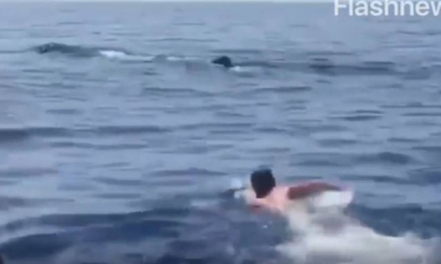 Βίντεο που κόβει την ανάσα: Ατρόμητος κολυμβητής κολυμπάει δίπλα σε φάλαινα στα Σφακιά
