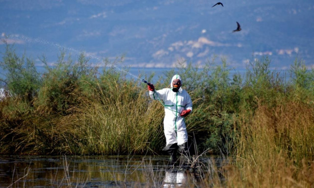 Ιός Δυτικού Νείλου: Κατεπείγουσα εντολή για ψεκασμούς κατά των κουνουπιών