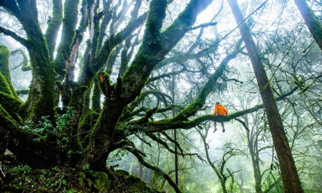 Παγκόσμιος συναγερμός: Ο πλανήτης απειλείται από μια τρομακτική «μεταμόρφωση» που έχει ήδη αρχίσει!