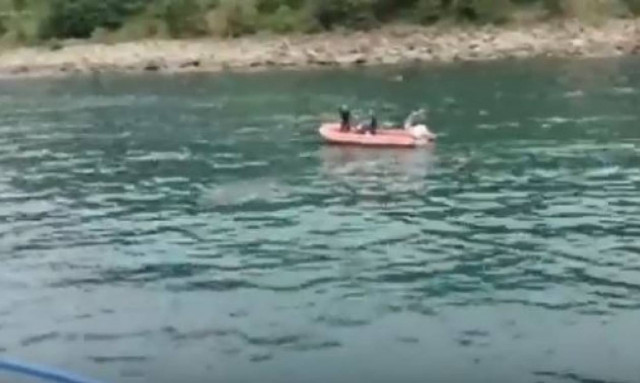 Απίστευτος ταύρος! Κολύμπησε 23 χιλιόμετρα για να αποφύγει τη σφαγή (vid)