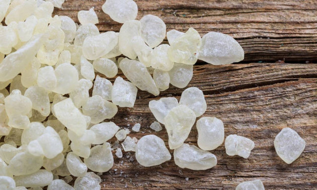 Τι άλλο θα κάνουν οι Τούρκοι... Ανοίγουν θέμα για τη μαστίχα του Αιγαίου