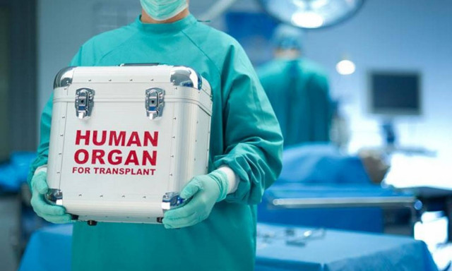 Κρήτη: Έδωσαν ζωή με το θάνατό τους σε 11 ανθρώπους!