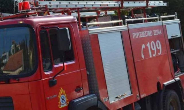 Φωτιά στο Δενδροπόταμο Θεσσαλονίκης (pics&vid)