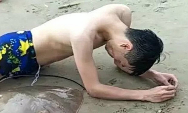 «Θυμωμένο» σαλάχι «άρπαξε» κολυμβητή από τα γεννητικά όργανα (pics)