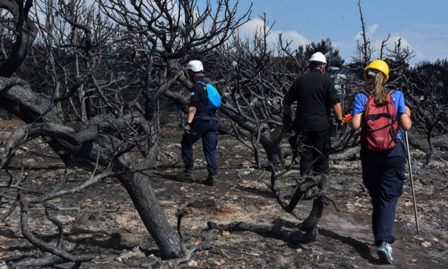Φούσκωσαν τα ρέματα με την πρώτη βροχή σε Νέο Βουτζά και Μάτι (video)