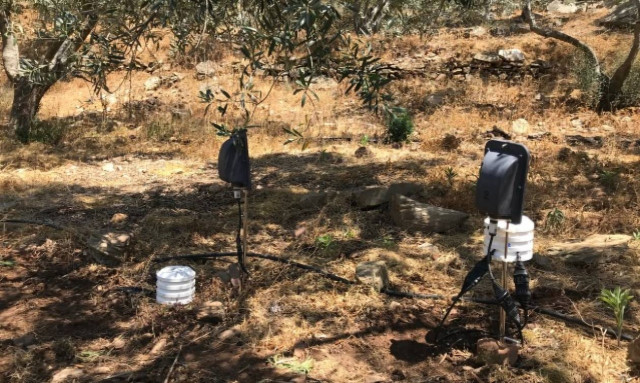 H Bosch χρησιμοποιεί αισθητήρες και στις ελαιοκαλλιέργειες