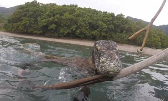 Η επική μάχη φωτογράφου με δράκους του Κομόντο που ήθελαν να ανέβουν στη βάρκα του! (vid)