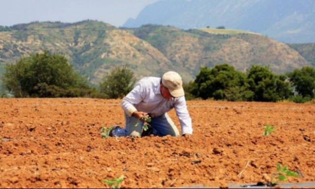ΟΠΕΚΕΠΕ: Δείτε πότε θα πληρωθεί το 70% για τις αγροτικές επιδοτήσεις 2018