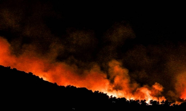 Φωτιά στην Ηλεία