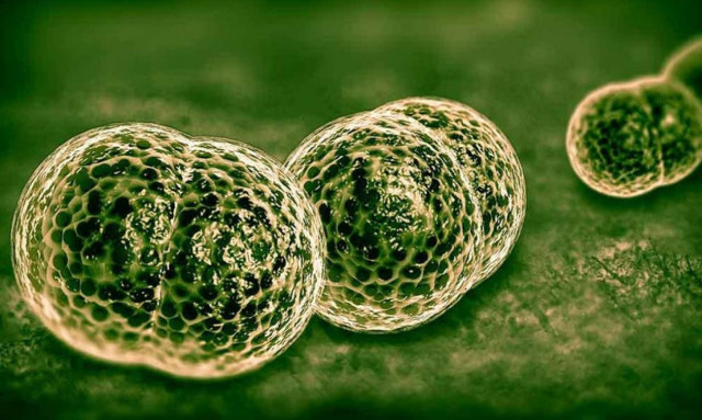 Νέο κρούσμα μηνιγγίτιδας στη Σκύρο