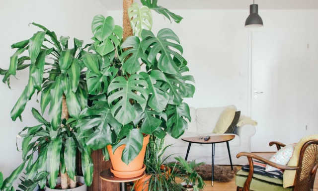 Τρεις τρόποι για να κάνεις «αποτοξίνωση» στον χώρο σου