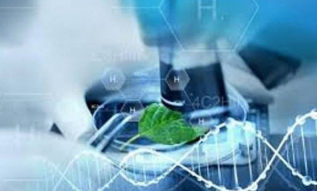 Δήμος Ήλιδα: Η Πόλη των Ολυμπιακών Αγώνων 20 Χρόνια ΜΠΣ «Ιατρική Χημεία» (1998-2018)