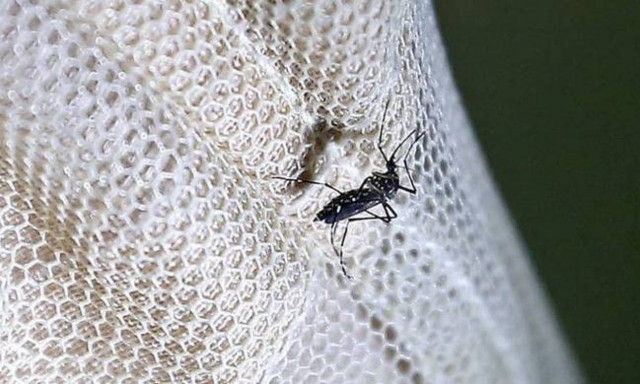 Ιός του Δυτικού Νείλου: 22 θάνατοι – 12 άτομα στην Εντατική