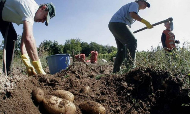 ΟΠΕΚΕΠΕ: Πότε θα πληρωθεί το 70% των αγροτικών επιδοτήσεων