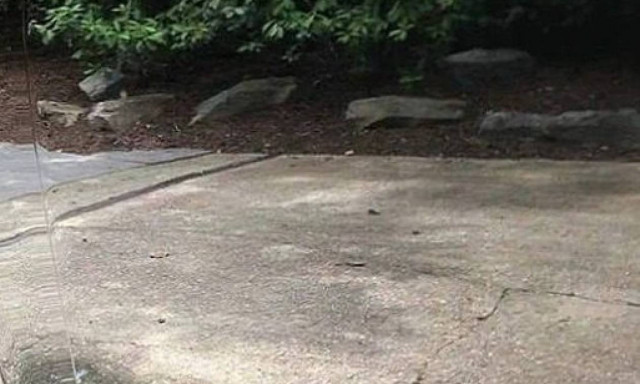 Σπαζοκεφαλιά: Μπορείτε να δείτε το αμάξι σε αυτή τη φωτογραφία;