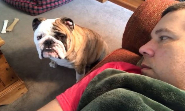 Πώς μπορείς να αντισταθείς σε αυτό το βλέμμα; (vid)