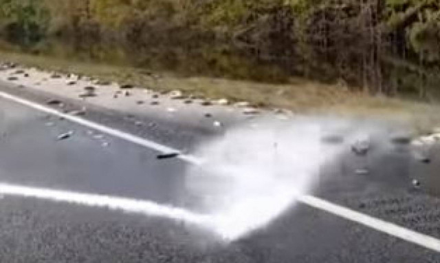 Τυφώνας Φλόρενς: Γέμισαν... ψάρια οι δρόμοι στη Βόρεια Καρολίνα (vid)