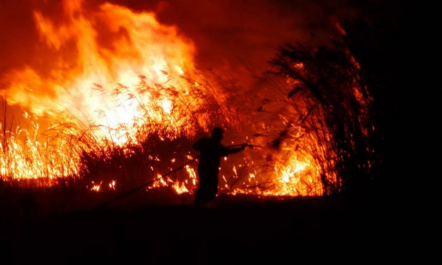 Φωτιά ΤΩΡΑ στην Αττική: Πυρκαγιά στο Σχινιά Μαραθώνα (χάρτης)