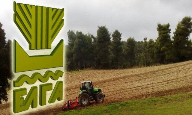 ΕΛΓΑ: Σήμερα (26/9) η καταβολή των αποζημιώσεων σε 66.148 αγρότες και κτηνοτρόφους