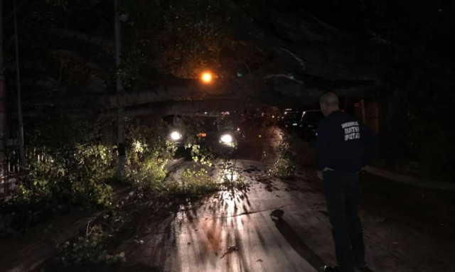 Καιρός: Σφοδροί άνεμοι ξερίζωσαν τεράστιο δέντρο έξω από τον σταθμό του ΗΣΑΠ στην Κηφισιά (Pics)