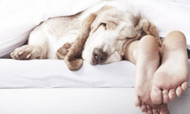 Τόσες ώρες ύπνου χρειάζεσαι ανάλογα με την ηλικία σου