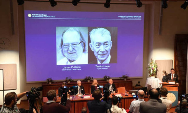 Landmark cancer therapy wins Nobel prize