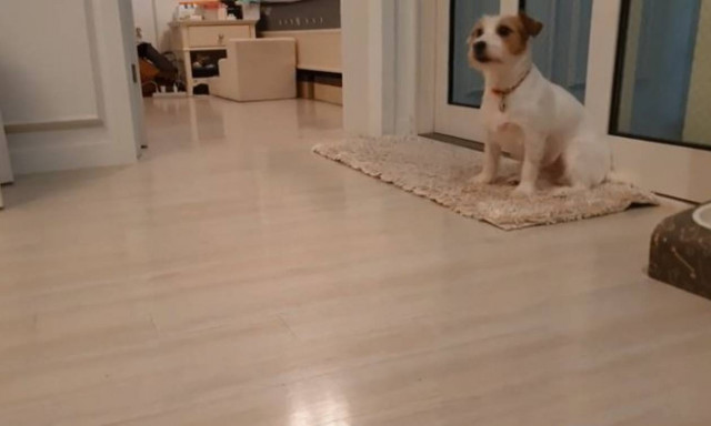 Όταν σε μαλώνουν και δεν αντέχεις άλλο την κατσάδα (vid)