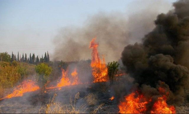 Κέρκυρα: Σε ύφεση η φωτιά στην Κουλούρα - Επιστρέφουν στον οικισμό κάτοικοι και παραθεριστές