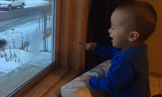 Η επική αντίδραση ενός μπόμπιρα όταν ο πατέρας του επιστρέφει στο σπίτι (vid)