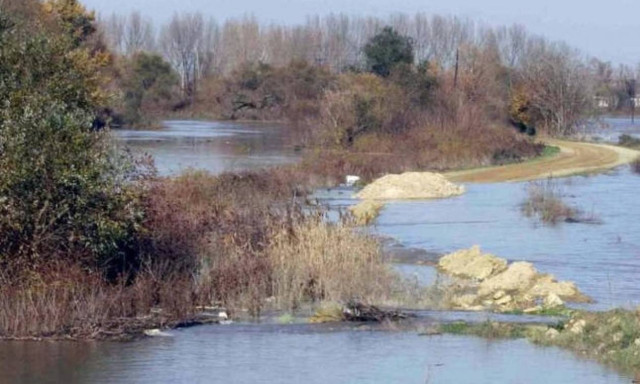 Woman and two teenagers found stabbed in Evros missing IDs, youngest had hands tied