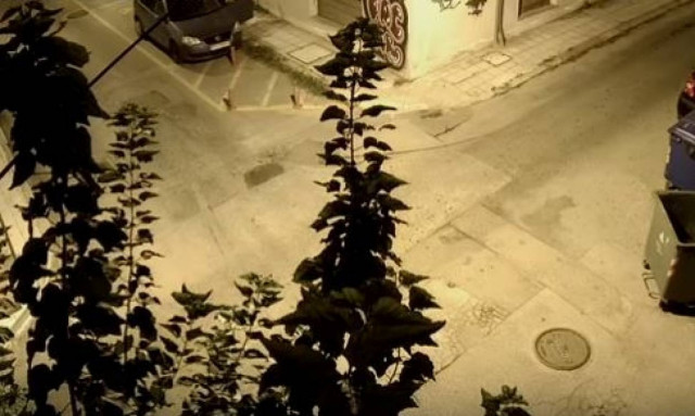 Βίντεο - ντοκουμέντο από την άγρια επίθεση σε γνωστό δημοσιογράφο του Βόλου