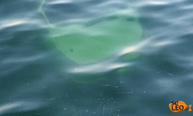 Θεσσαλονίκη: Αυτοκίνητο έπεσε στον Θερμαϊκό - Ένας τραυματίας