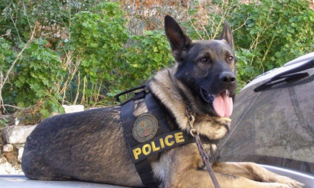 Πρέβεζα: Το πατάρι του καταστήματος έκρυβε τα πειστήρια της ενοχής τους!