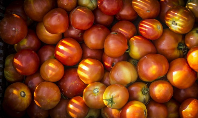 Δεσμευτήκαν οχτώ τόνοι ντομάτας από την Πολωνία σε επιχείρηση στου Ρέντη