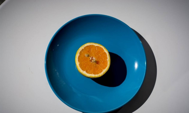 Βαρόμετρο: Η υγιεινή διατροφή κερδίζει έδαφος στην Ευρώπη