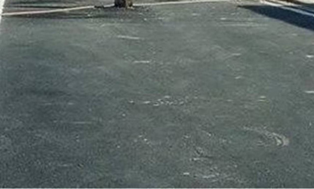 Απίστευτη εικόνα στο Μεσολόγγι: Δεν φαντάζεστε τι εμφανίστηκε στη μέση του δρόμου! (pic)