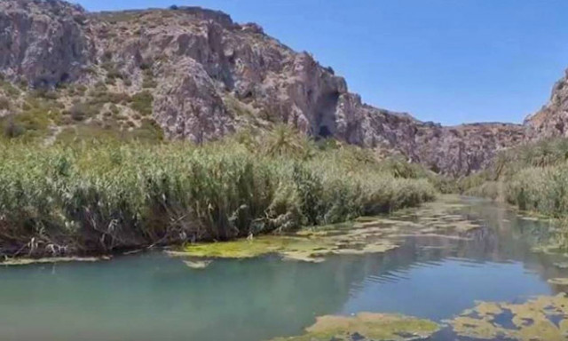 «Περπατήστε» το Φοινικόδασος του Πρέβελη μέσα από ένα σούπερ βίντεο!