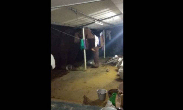 Έπεφταν συνεχώς θύματα ληστείας και ξαφνιάστηκαν όταν έπιασαν τον… δράστη (vid)