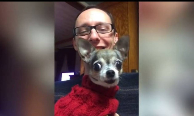 Το απίστευτο… τραγούδι ενός σκύλου (vid)