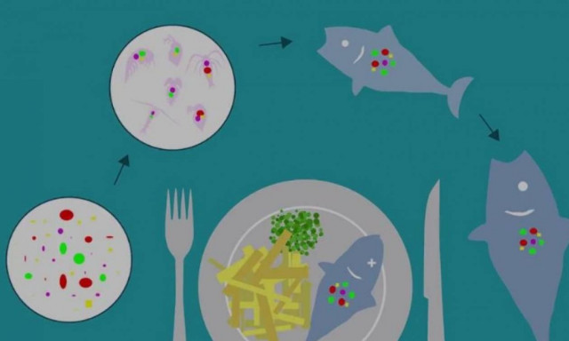 Έρευνα σοκ αποδεικνύει ότι όλοι τρώμε... πλαστικό!